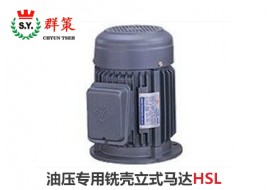 群策电机_油压专用铣壳立式马达HSL