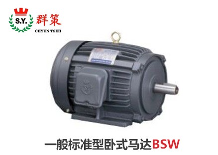 群策电机_一般标准型卧式马达BSW