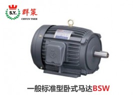 群策电机_一般标准型卧式马达BSW
